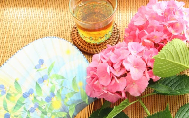 麦茶はペットボトル派？それとも自作派？どちらがどれだけお得なのかを徹底検証